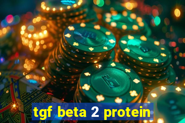 tgf beta 2 protein